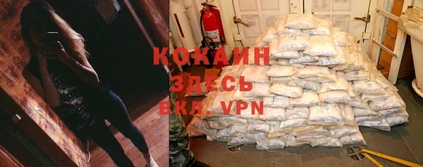 COCAINE Богородицк